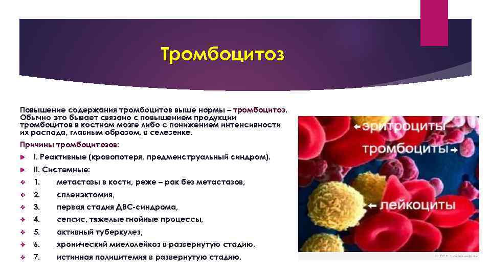 количество тромбоцитов в 1 мм3 крови